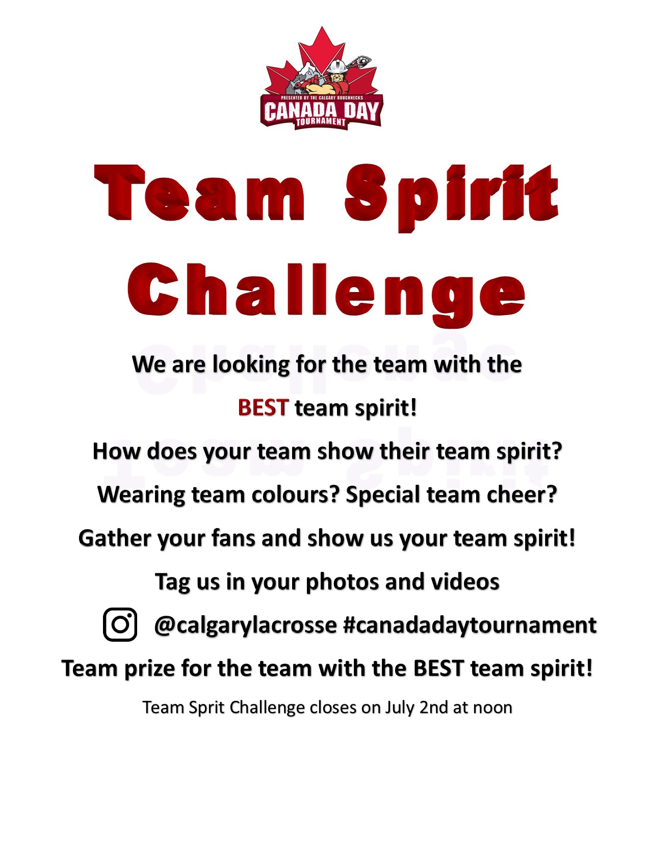 Calgary District Lacrosse site by RAMP InterActive